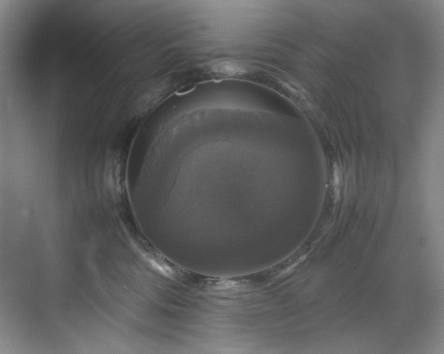 X0000070350330200606161323