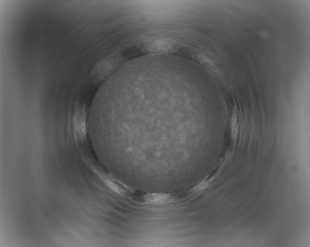 X0000070350334200606161323