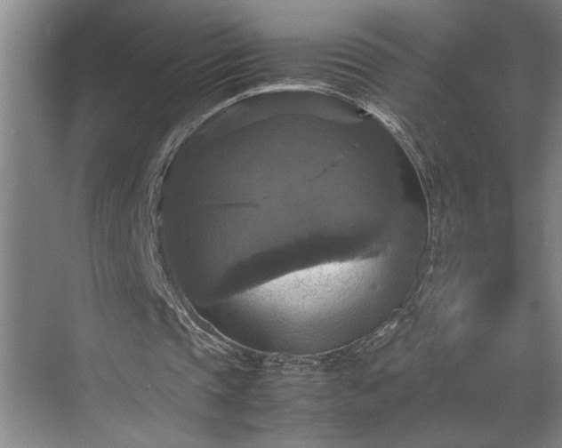 X0000070350337200606161322