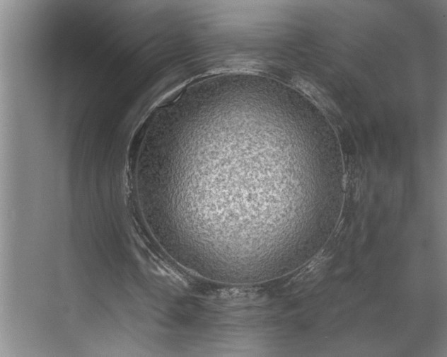 X0000070350338200606161322