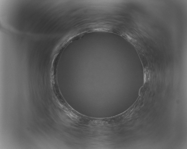 X0000070350339200606161322