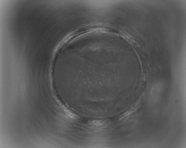 X0000070350341200606161322