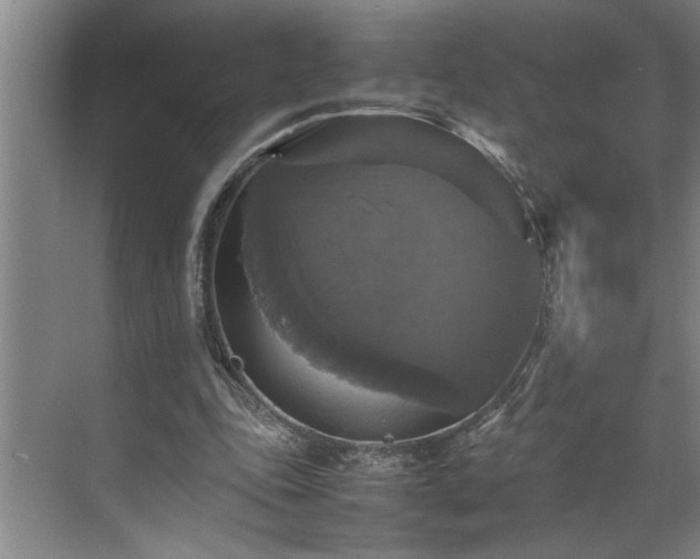 X0000070350343200606161322