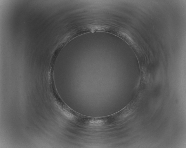 X0000070350357200606161322