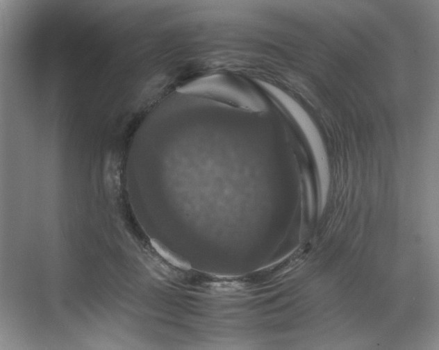 X0000070350363200606161322