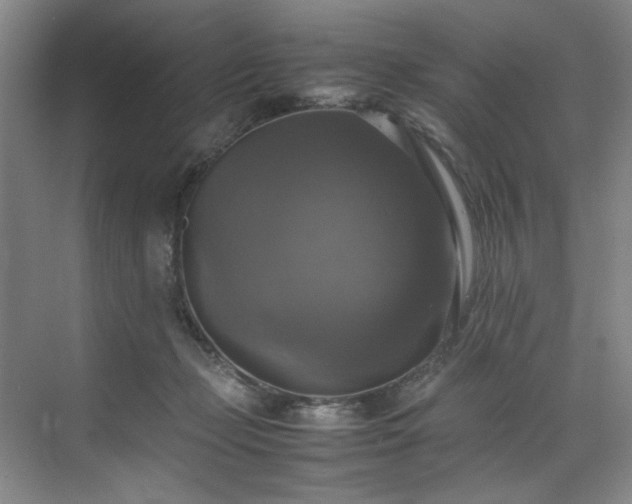 X0000070350365200606161322