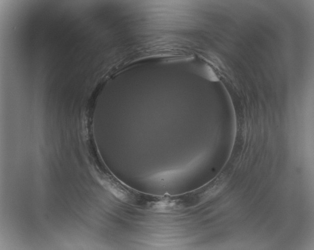 X0000070350366200606161322