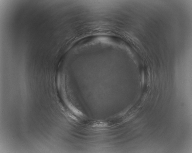 X0000070350369200606161322