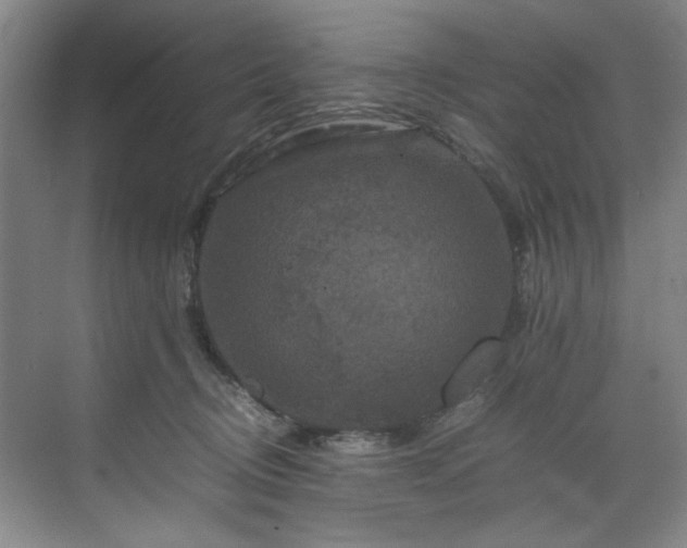 X0000070350370200606161322
