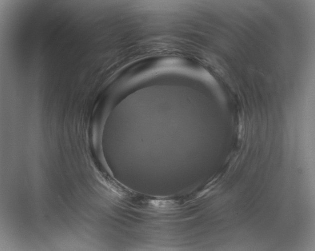 X0000070350371200606161322