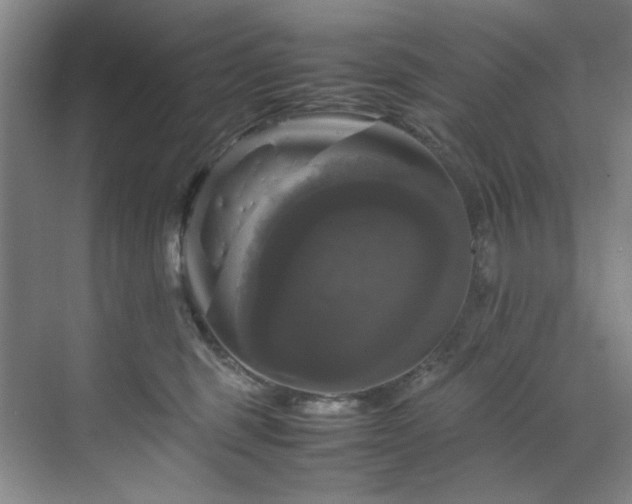 X0000070350375200606161323