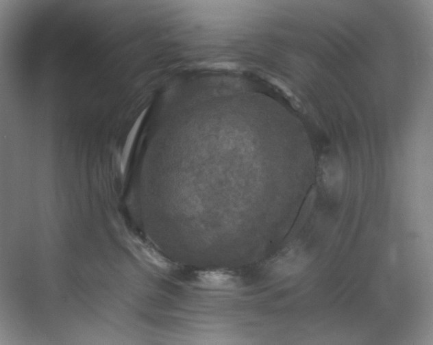 X0000070350380200606161323