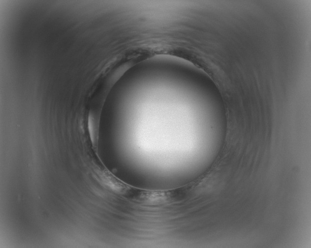 X0000070350384200606161323