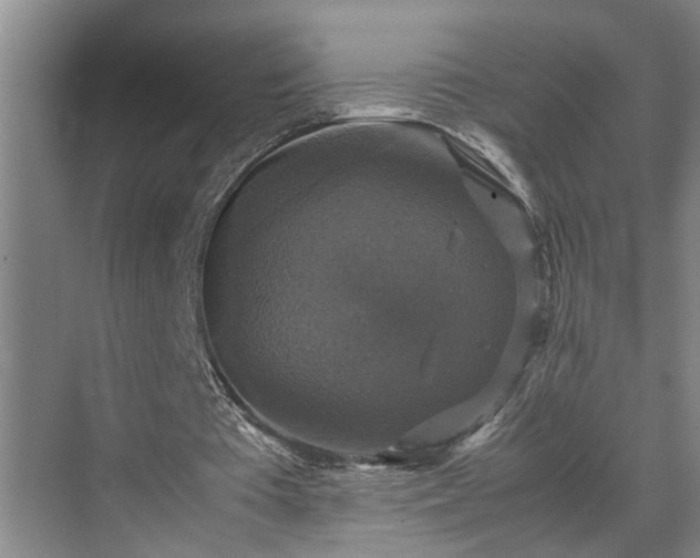 X0000070350385200606161322