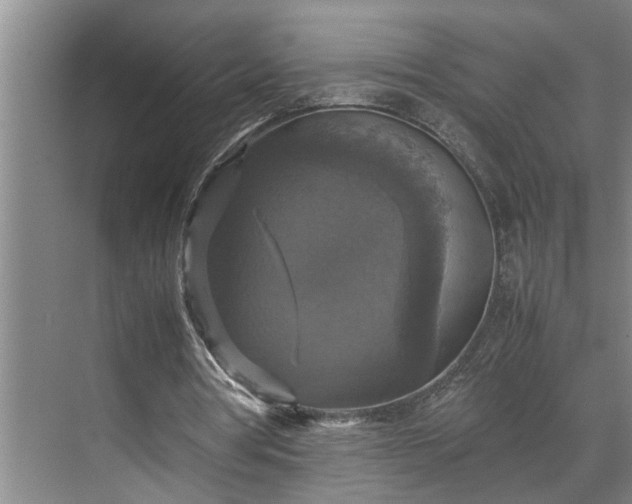 X0000070350386200606161322