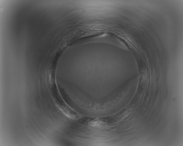 X0000070350408200606161322