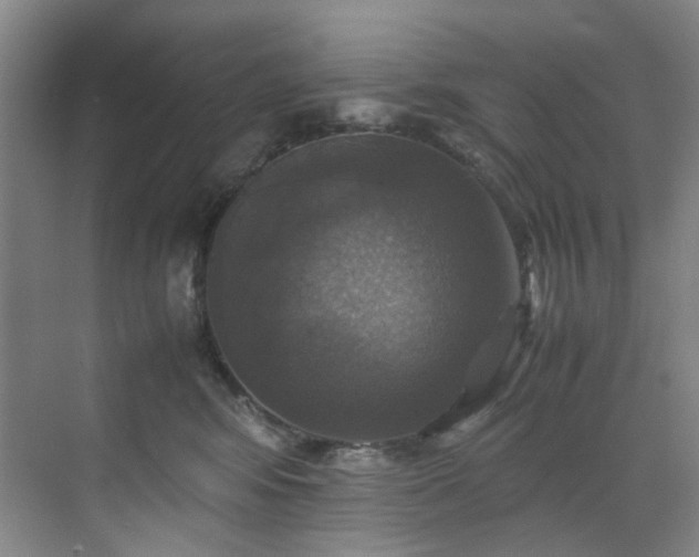 X0000070350424200606161321