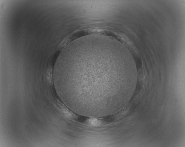 X0000070350425200606161321