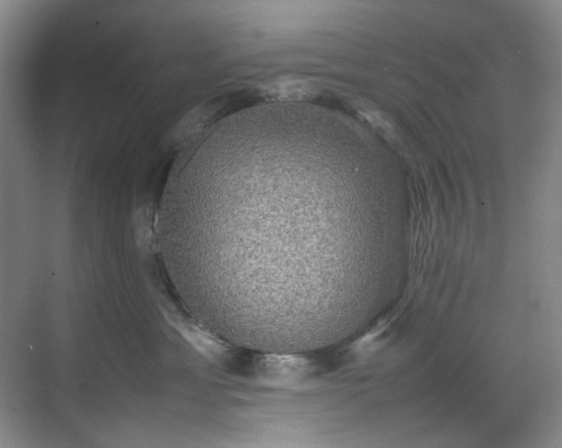 X0000070350429200606161321
