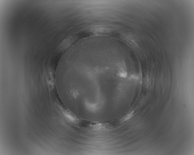 X0000070350430200606161321