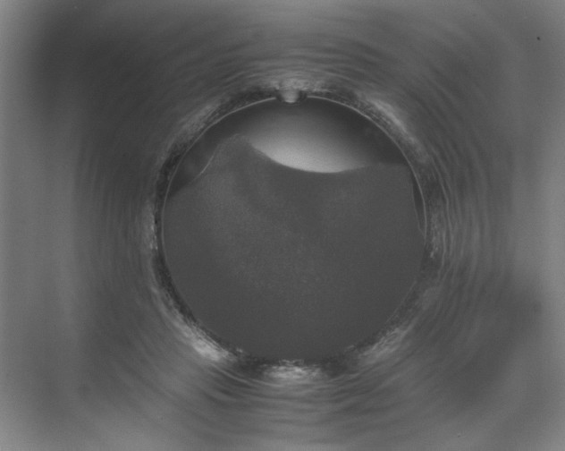 X0000070350453200606161321