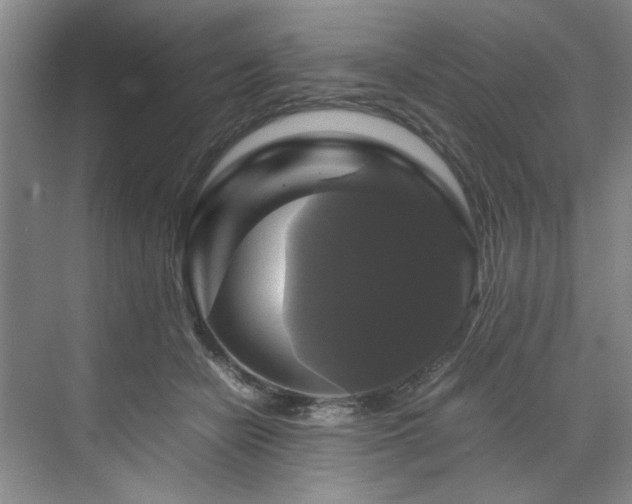 X0000070350462200606161321