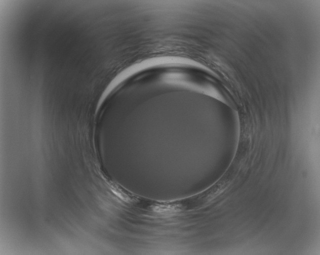 X0000070350465200606161321