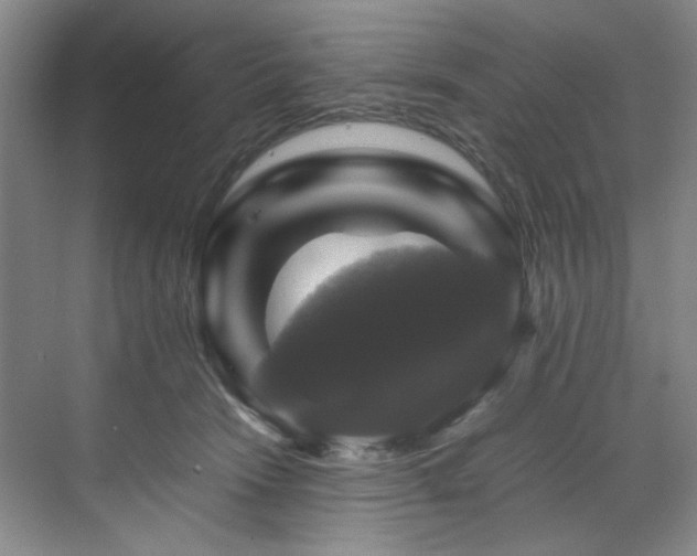 X0000070350466200606161321