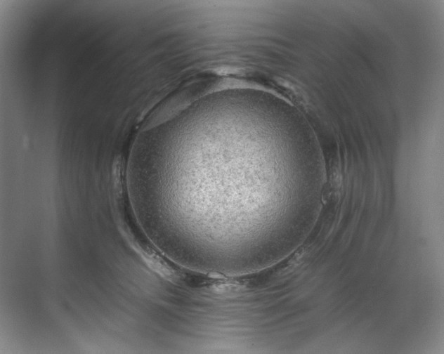 X0000070350468200606161321