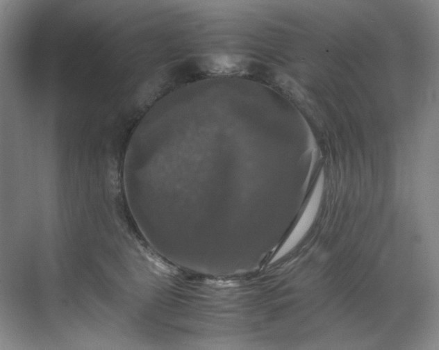 X0000070350469200606161321