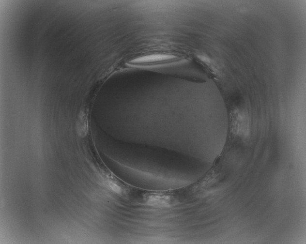 X0000070350471200606161321