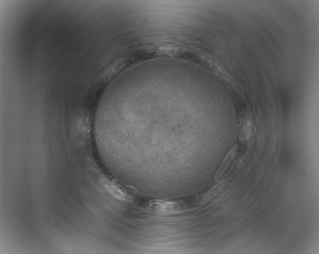 X0000070350472200606161321