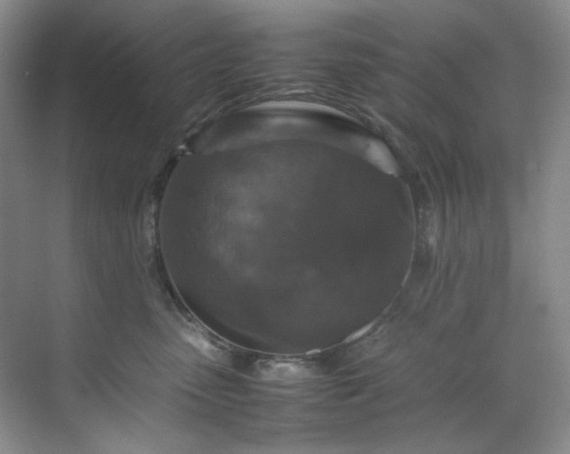 X0000070350475200606161321