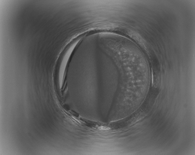 X0000070350483200606161320