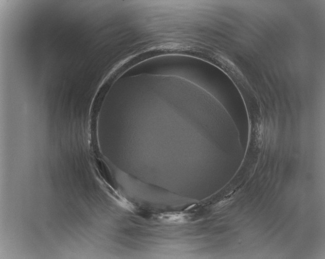 X0000070350484200606161320