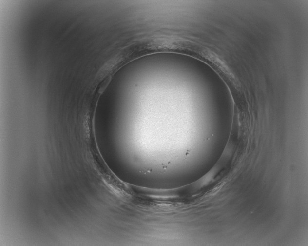 X0000070350489200606161320