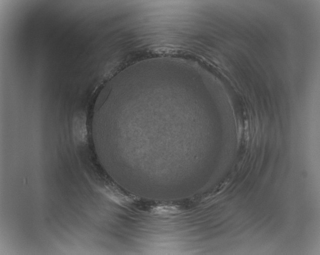 X0000070350508200606161320