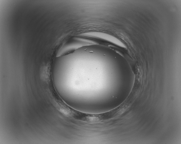 X0000070350509200606161320