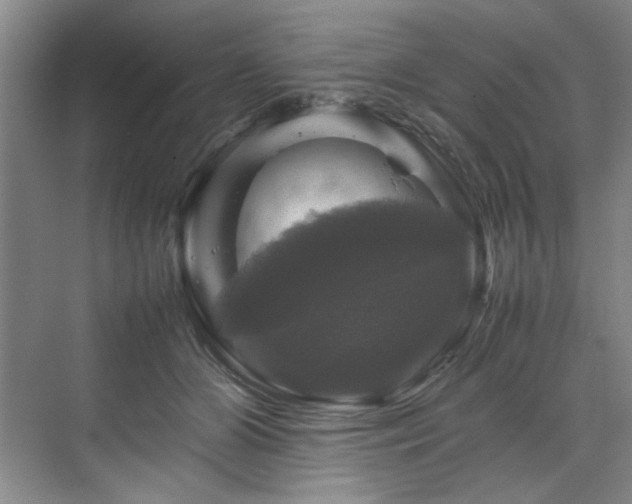 X0000070350510200606161320