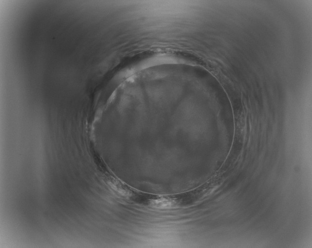 X0000070350511200606161320