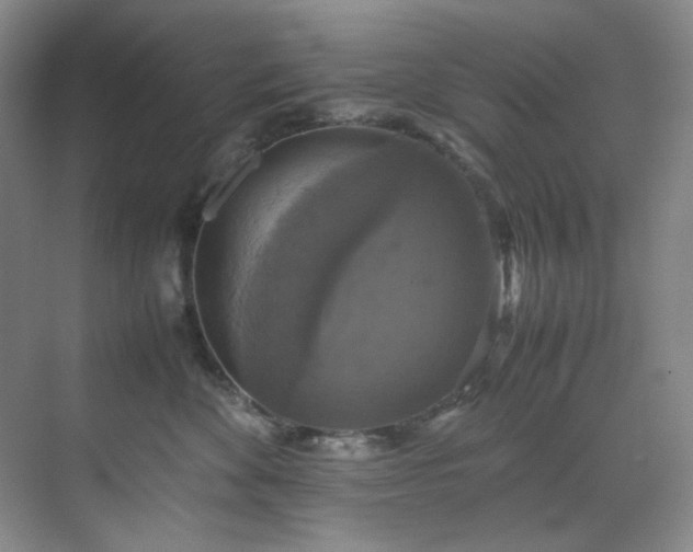 X0000070350524200606161320