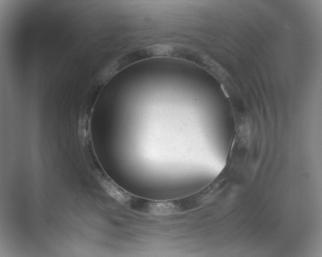 X0000070350525200606161320