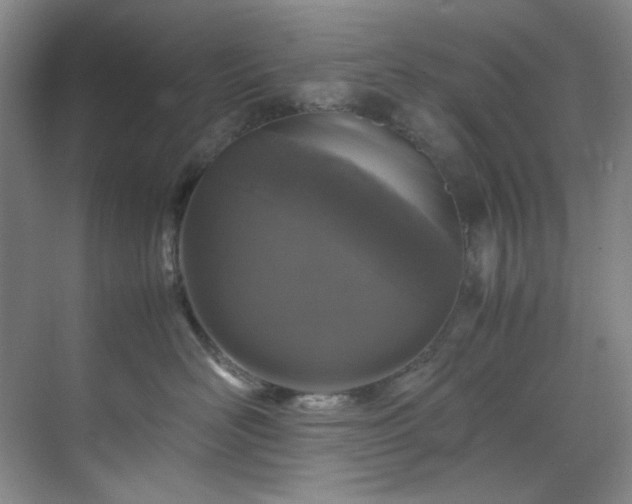 X0000070350526200606161320