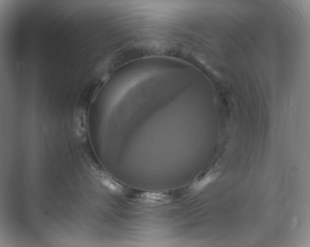 X0000070350528200606161319