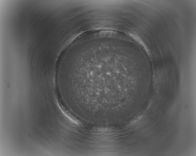 X0000070350533200606161319