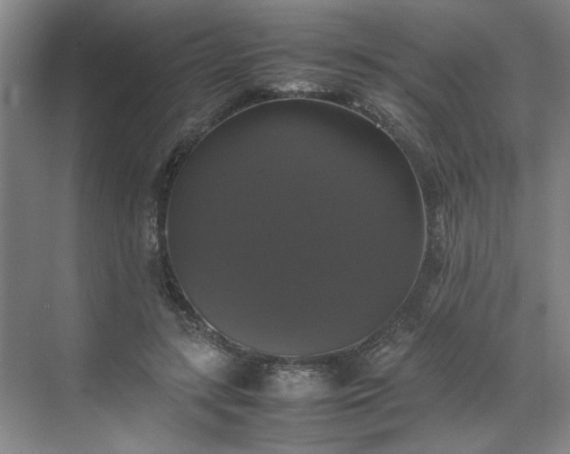 X0000070350547200606161319