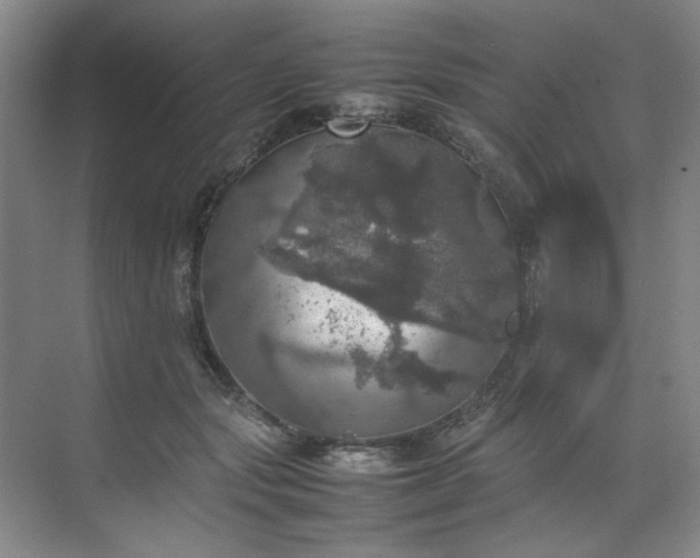 X0000070350557200606161319