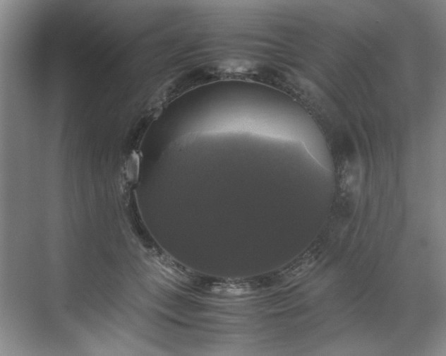 X0000070350559200606161319