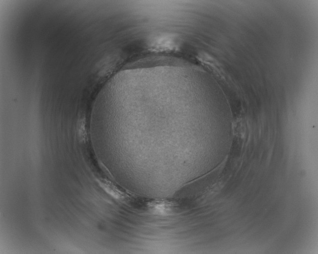 X0000070350564200606161319