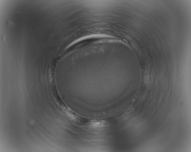 X0000070350569200606161319